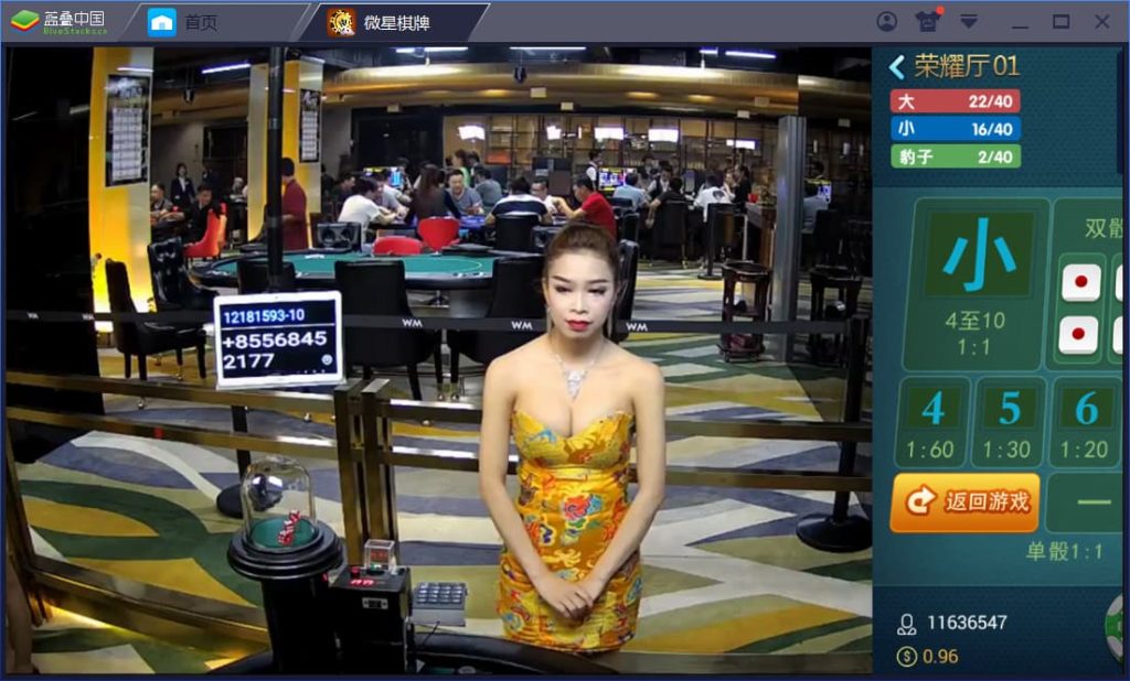 图片[18]-微星棋牌源码：23款热门真钱1:1游戏大全-970kk